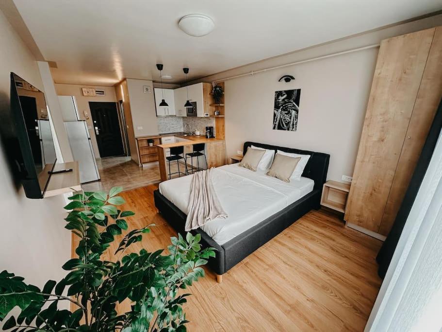 Agoll Victoria - Self Checkin Apartment Resita Ngoại thất bức ảnh
